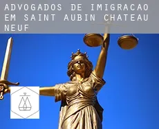 Advogados de imigração em Saint-Aubin-Château-Neuf