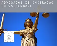 Advogados de imigração em Wölsendorf
