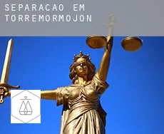 Separação em  Torremormojón