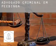 Advogado criminal em  Peebinga