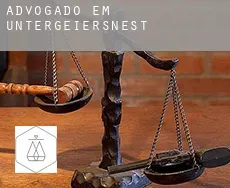 Advogado em  Untergeiersnest