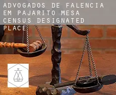 Advogados de falência em  Pajarito Mesa