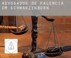 Advogados de falência em Schwarzenborn