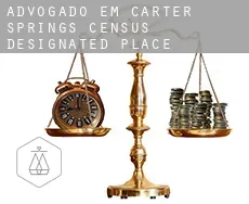 Advogado em  Carter Springs