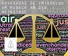 Advogados de imigração em  Mußbach an der Weinstraße