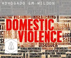 Advogado em  Wildon