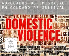 Advogados de imigração em Condado de Sullivan