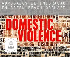Advogados de imigração em  Green Peach Orchard