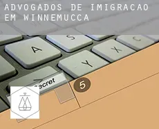 Advogados de imigração em  Winnemucca