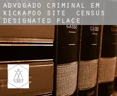 Advogado criminal em  Kickapoo Site 6