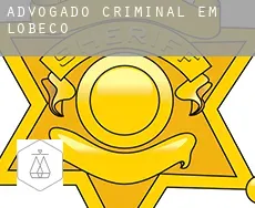 Advogado criminal em  Lobeco
