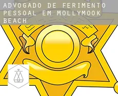 Advogado de ferimento pessoal em  Mollymook Beach