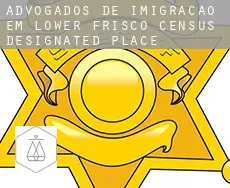 Advogados de imigração em  Lower Frisco
