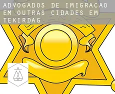 Advogados de imigração em  Outras cidades em Tekirdag