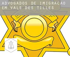 Advogados de imigração em Vals-des-Tilles