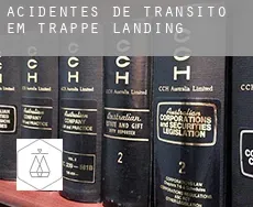 Acidentes de trânsito em Trappe Landing
