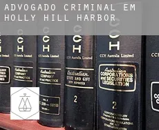 Advogado criminal em  Holly Hill Harbor