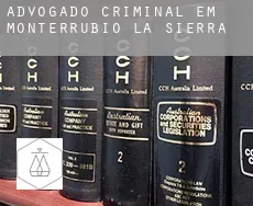Advogado criminal em Monterrubio de la Sierra