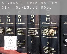 Advogado criminal em  Sint-Genesius-Rode