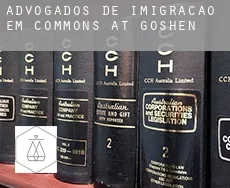 Advogados de imigração em  Commons at Goshen