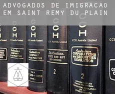 Advogados de imigração em  Saint-Rémy-du-Plain