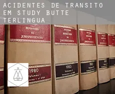 Acidentes de trânsito em Study Butte-Terlingua