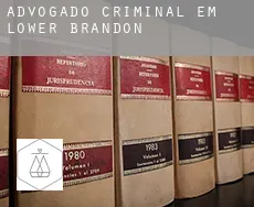 Advogado criminal em Lower Brandon