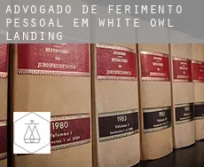 Advogado de ferimento pessoal em  White Owl Landing
