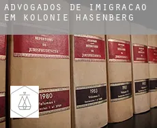 Advogados de imigração em  Kolonie Hasenberg