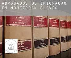 Advogados de imigração em  Monferran-Plavès
