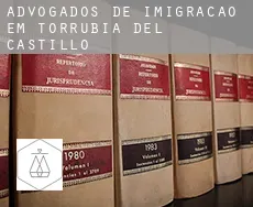Advogados de imigração em  Torrubia del Castillo