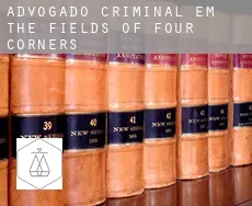 Advogado criminal em  The Fields of Four Corners