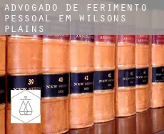 Advogado de ferimento pessoal em Wilsons Plains