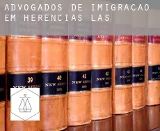 Advogados de imigração em  Herencias (Las)