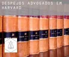 Despejos advogados em  Harvard