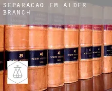 Separação em  Alder Branch