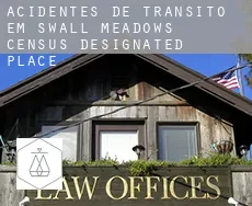 Acidentes de trânsito em  Swall Meadows