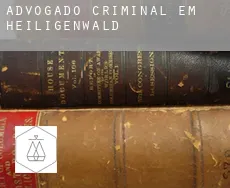 Advogado criminal em  Heiligenwald