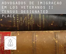 Advogados de imigração em Los Veteranos II