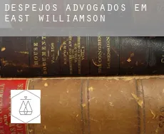 Despejos advogados em  East Williamson