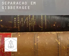 Separação em  Gibberagee