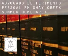 Advogado de ferimento pessoal em  Shay Creek Summer Home Area