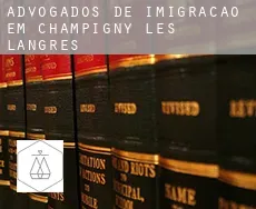 Advogados de imigração em  Champigny-lès-Langres