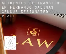 Acidentes de trânsito em  Fernando Salinas