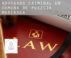 Advogado criminal em  Comuna de Puszcza Mariańska