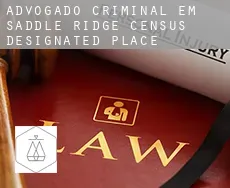 Advogado criminal em  Saddle Ridge