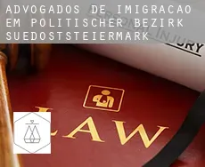 Advogados de imigração em  Politischer Bezirk Suedoststeiermark