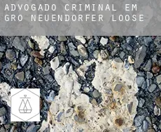 Advogado criminal em  Groß Neuendorfer Loose