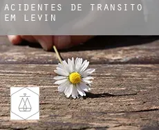 Acidentes de trânsito em  Levin