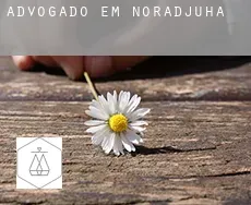 Advogado em Noradjuha